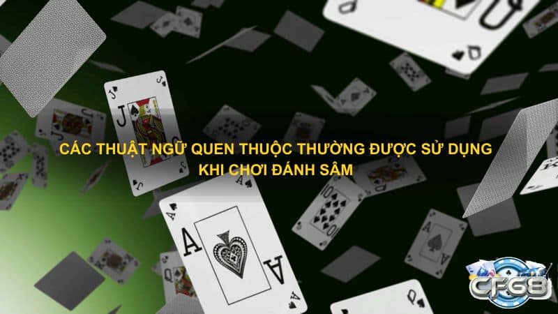 Các thuật ngữ quen thuộc thường được sử dụng khi chơi đánh sâm