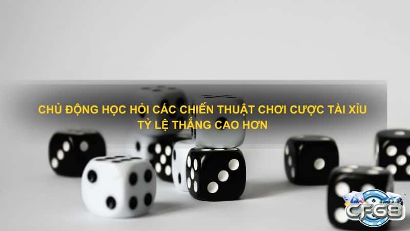 Chủ động học hỏi các chiến thuật chơi cược Tài Xỉu tỷ lệ thắng cao hơn