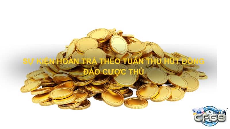 Su kien hoan tra theo tuan thu hut dong dao cuoc thu