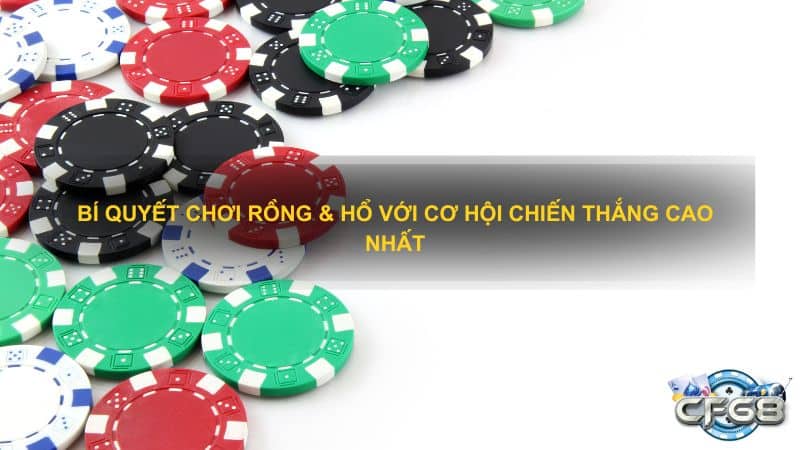 Tại sao nên chọn CF68 để chơi Rồng hổ?