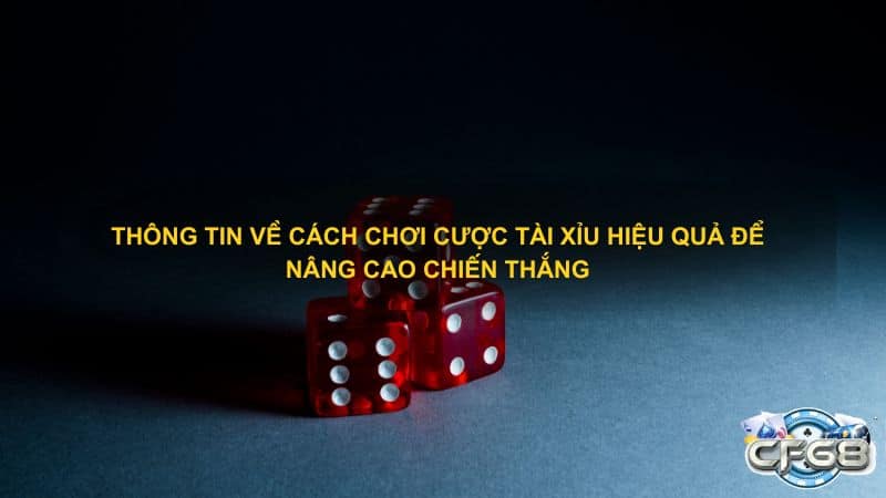 Thông tin về cách chơi cược Tài Xỉu hiệu quả để nâng cao chiến thắng