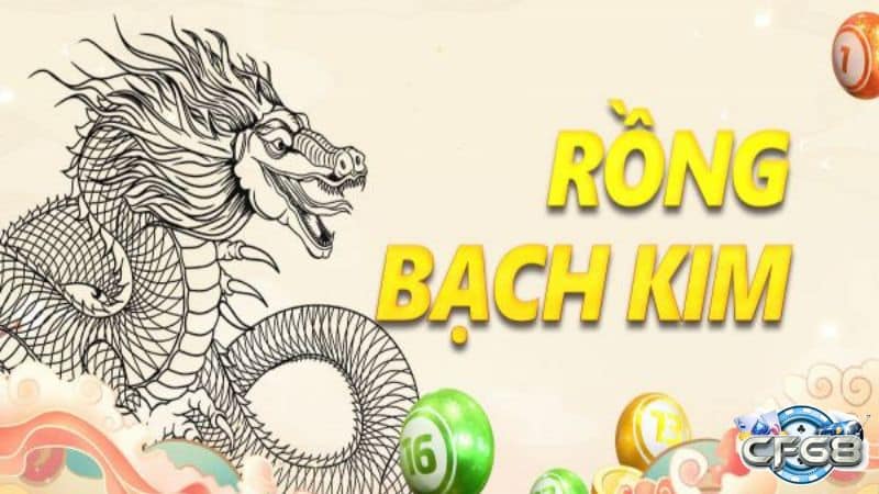 rồng bạch kim 247