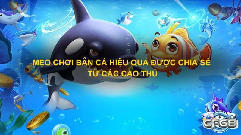 Mẹo chơi bắn cá hiệu quả được chia sẻ từ các cao thủ