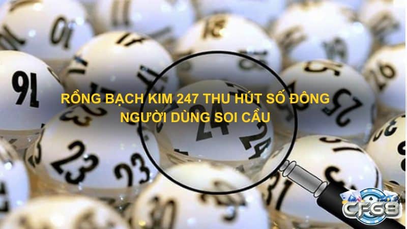 Rồng bạch kim 247 thu hút số đông người dùng soi cầu