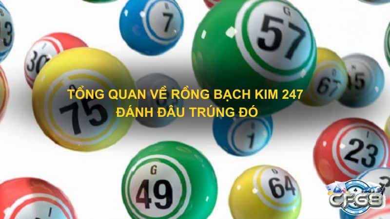 Tổng quan về rồng bạch kim 247 đánh đâu trúng đó