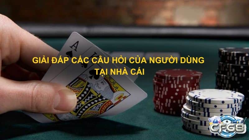 Giải đáp các câu hỏi của người dùng tại nhà cái